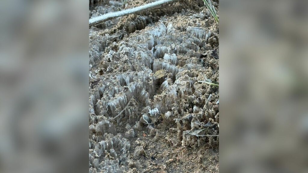 Frente fria causa queda de temperatura no Sul do Brasil;