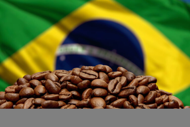 Governo divulga lista de marcas e lotes de café impróprios