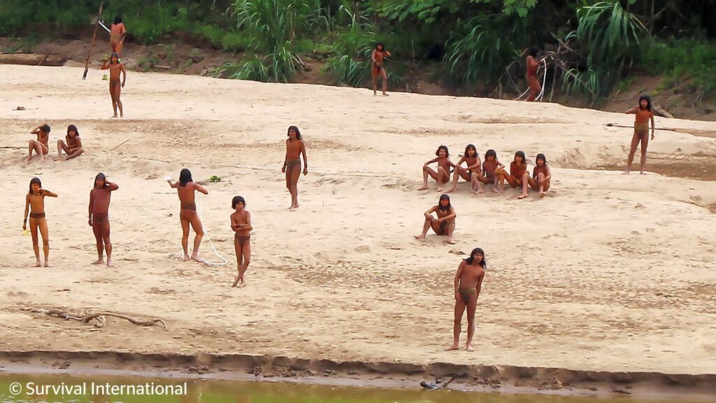 Imagens inéditas mostram tribo indígena isolada em “área perigosa” da