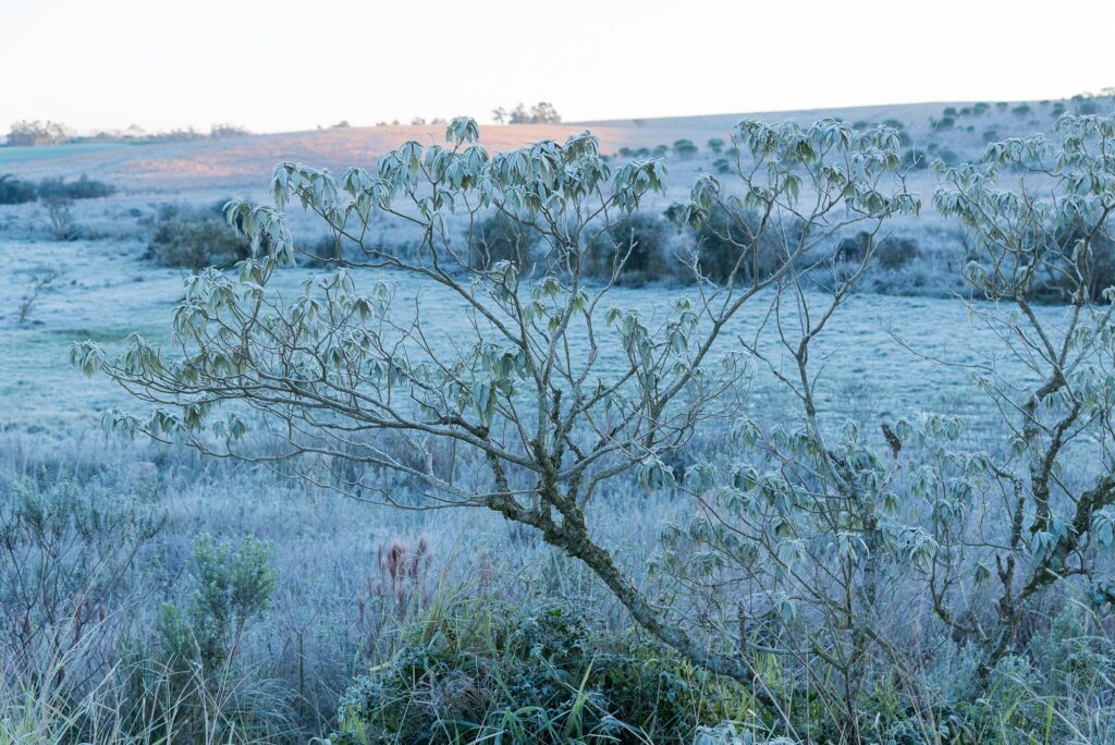 Onda de frio atinge Sul e impacta Sudeste e Centro-Oeste