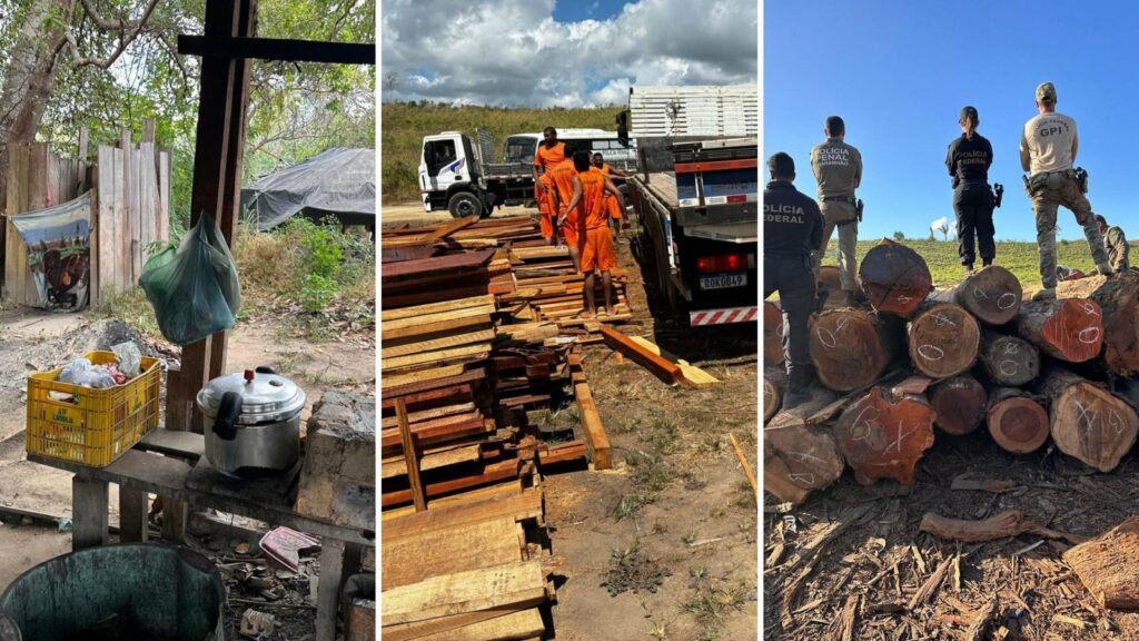 PF deflagra operação contra madeireiras ilegais no Maranhão