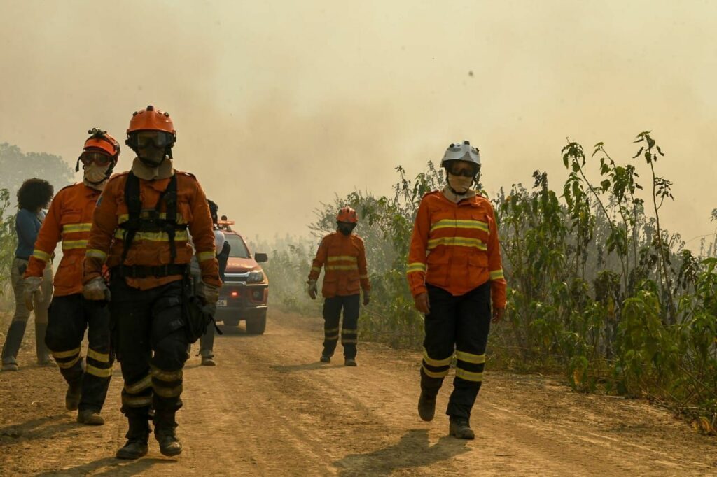 Pantanal: MPMS identifica 20 pontos dos principais responsáveis por maioria