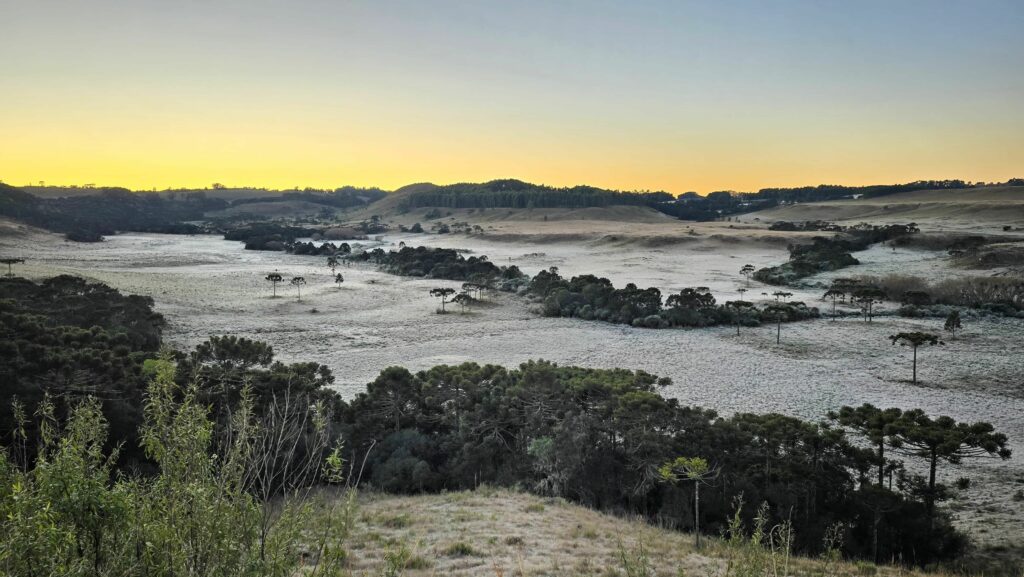 SC: São Joaquim registra -6,5°C nesta segunda-feira (1) com geada;