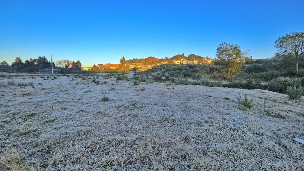 Santa Catarina registra temperatura de -1,7°C com geada nesta quinta-feira