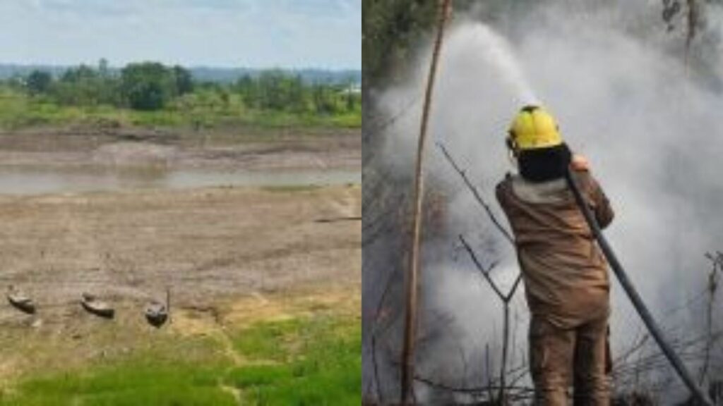 Amazonas tem recorde de queimadas, seca antecipada e queda nos