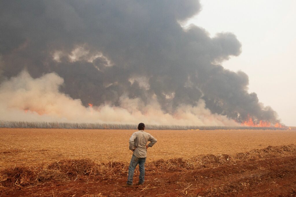 Áreas agropecuárias concentram 80% dos focos de calor nos incêndios