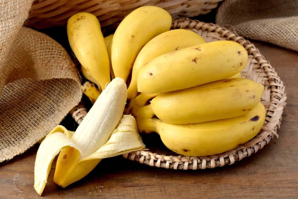 Cientistas podem ter descoberto como salvar a banana-nanica da extinção