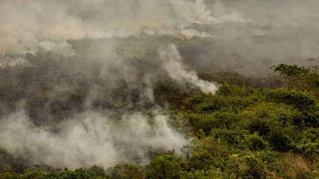 Como cuidar da saúde diante das fumaças de queimadas