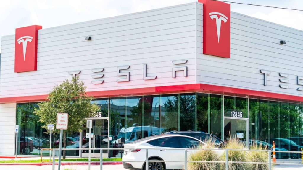 Construção de fábrica da Tesla em Berlim desmatou 500 mil