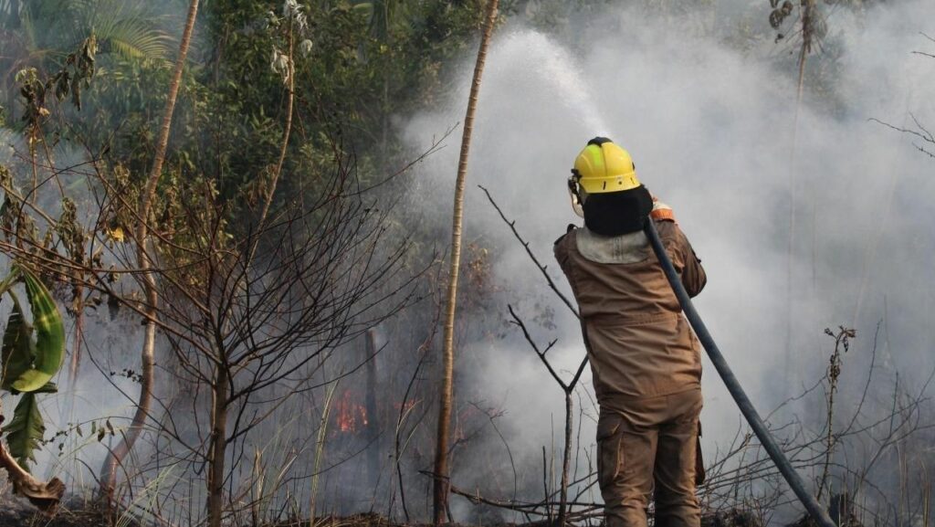 Em dois meses, bombeiros combateram mais de 4.200 focos de