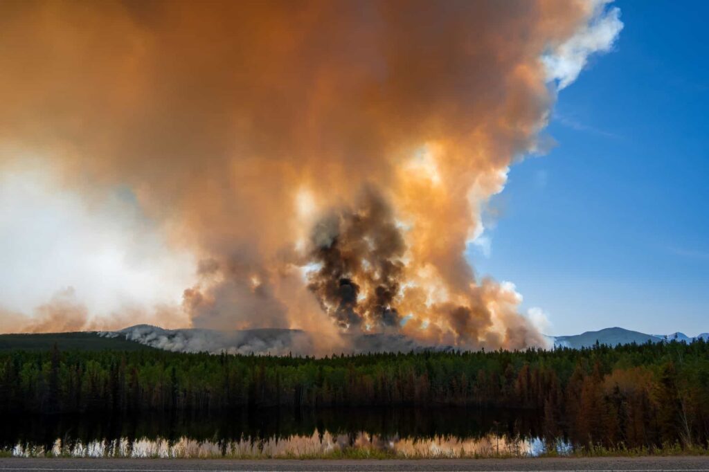 Fumaça dos incêndios florestais aumenta o risco de demência