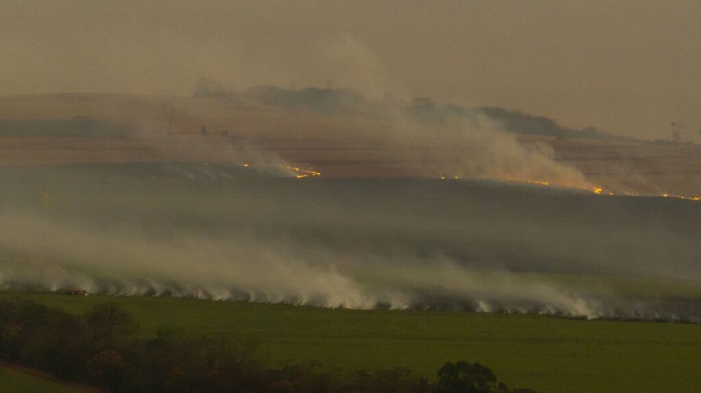 Houve ação criminosa em incêndios no interior de SP, diz