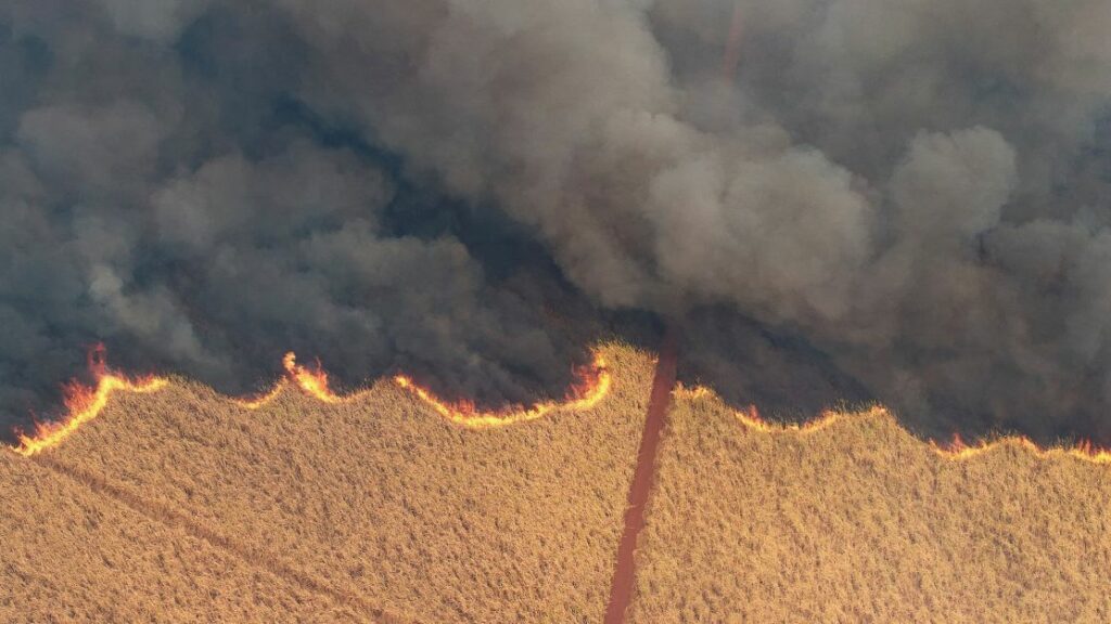 Incêndios em SP: ministro e secretário da Agricultura falam em