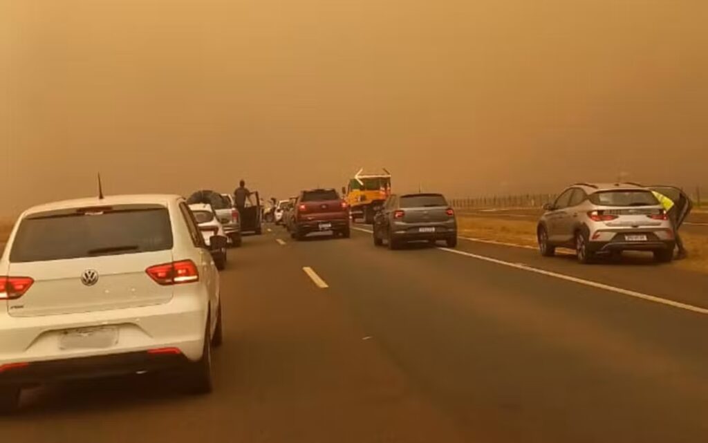 Incêndios florestais causam forte fumaça e estragos em SP