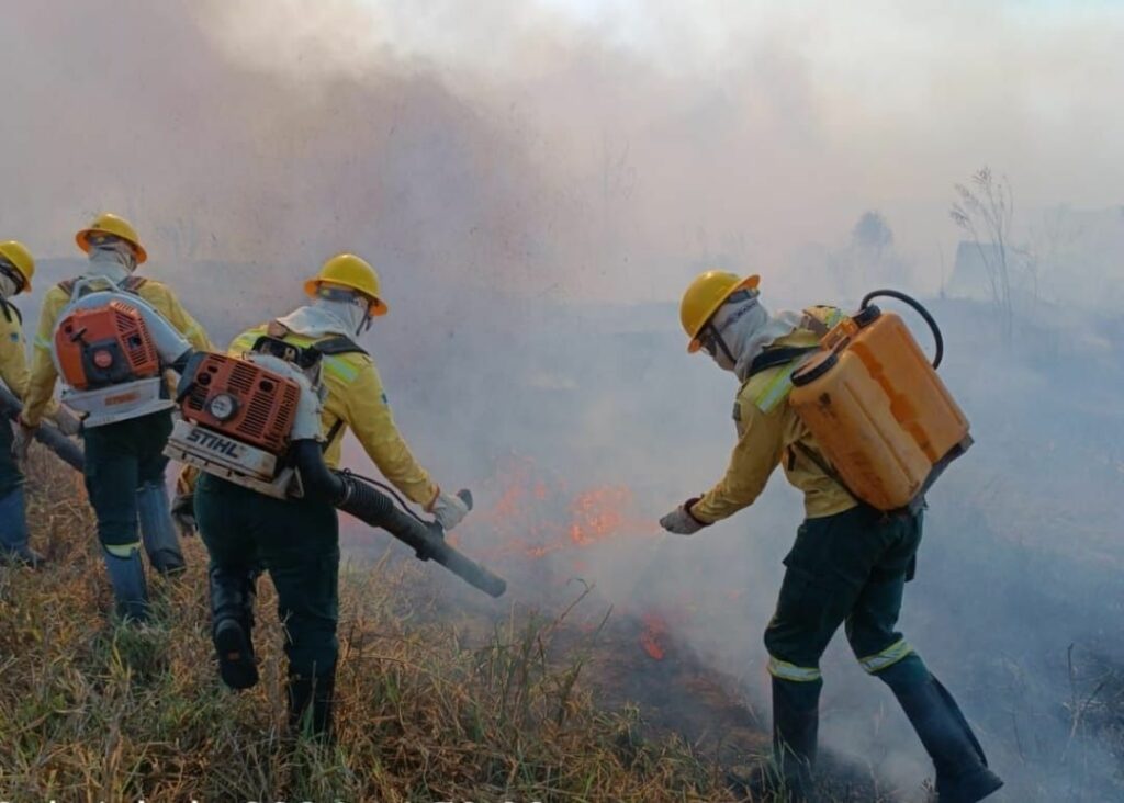 Julho de 2024 bate recorde histórico de focos de incêndio