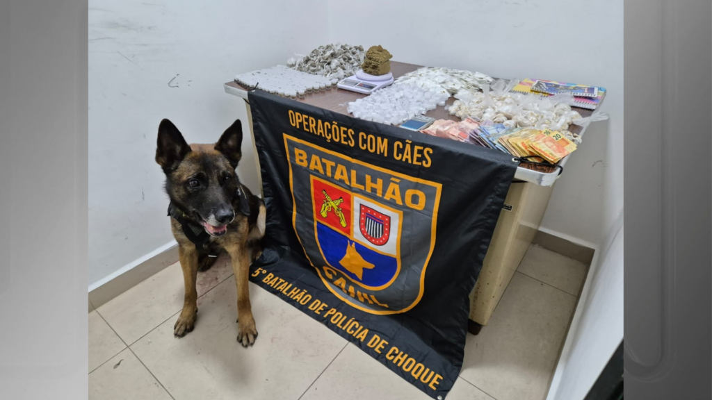 Loja do tráfico: dupla é presa após cão descobrir galpão