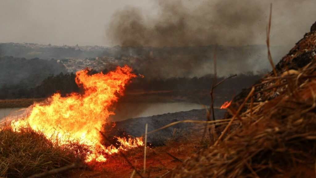 Mais um homem é preso por envolvimento nos incêndios em