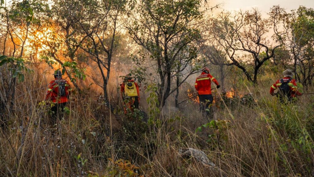 Maranhão reduz focos de calor e melhora posição no ranking