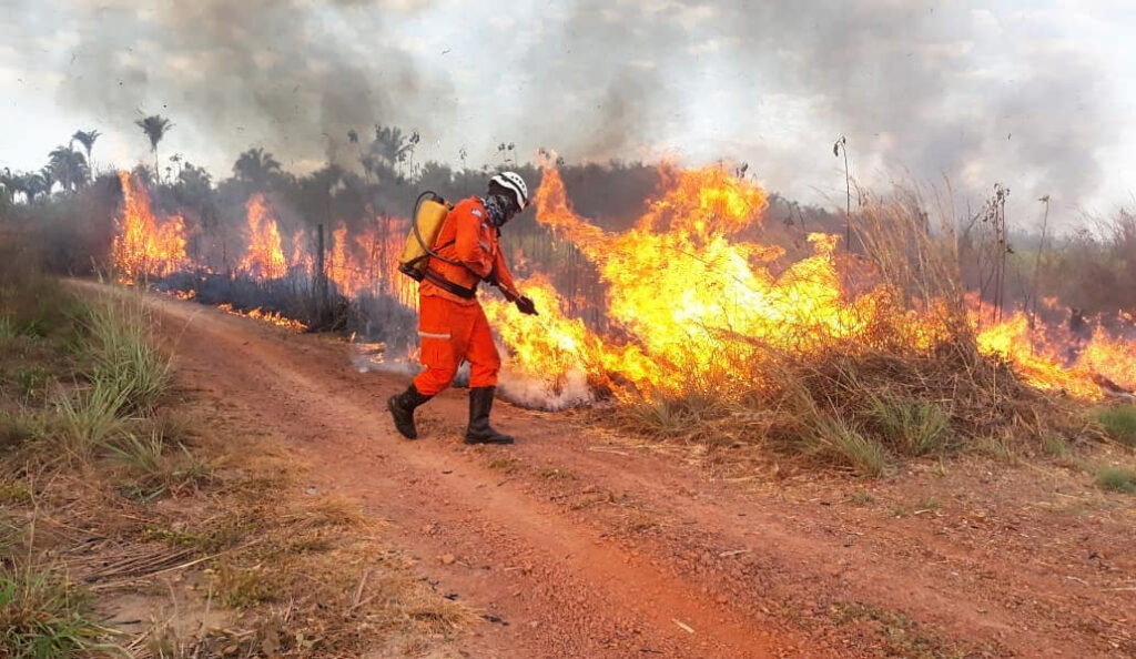 Maranhão registra 496 incêndios em áreas rurais e florestais