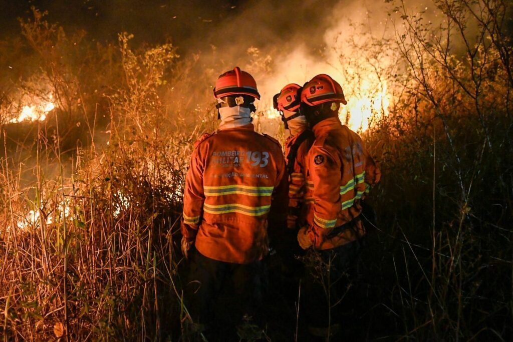 Onda de calor pode trazer novas queimadas, diz presidente do