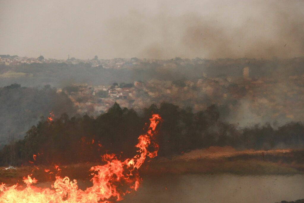 Onda de incêndios atinge cidades do interior de SP e