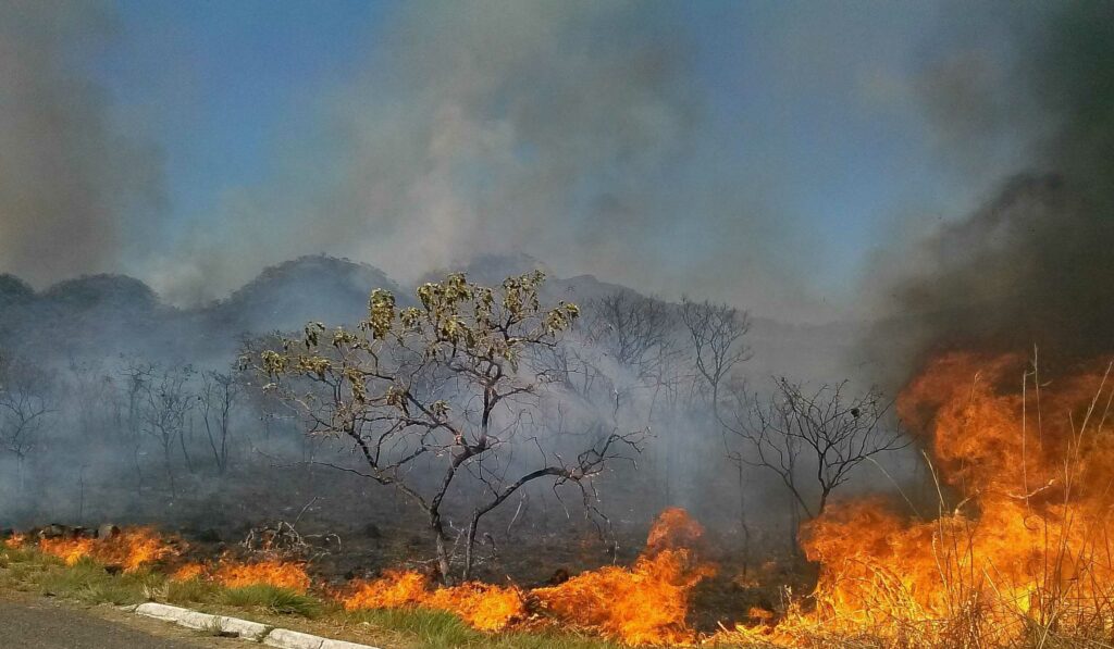 Pior seca em 44 anos afeta mais da metade dos