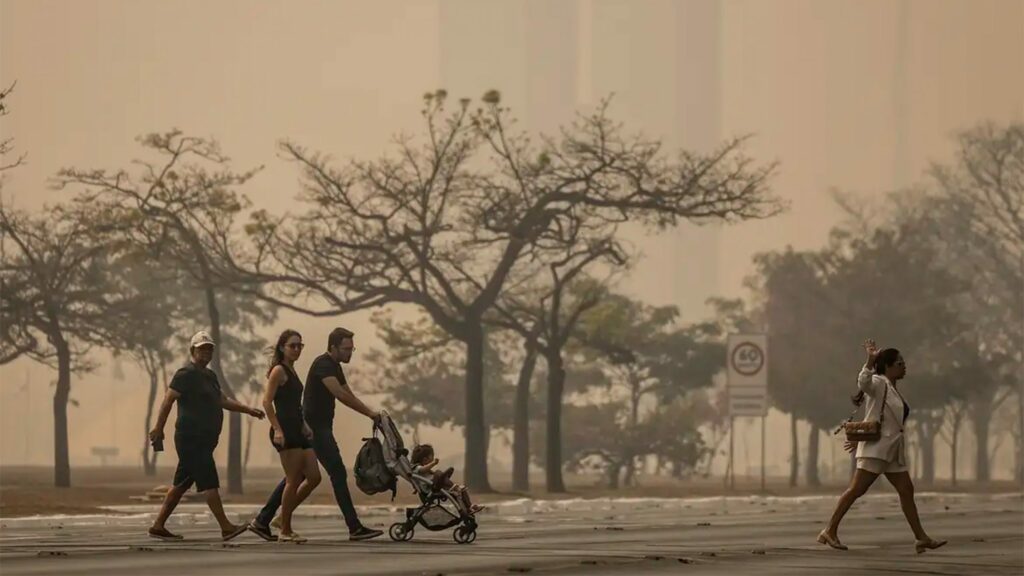 Polícia Federal investiga queimadas em SP, Amazônia e Pantanal