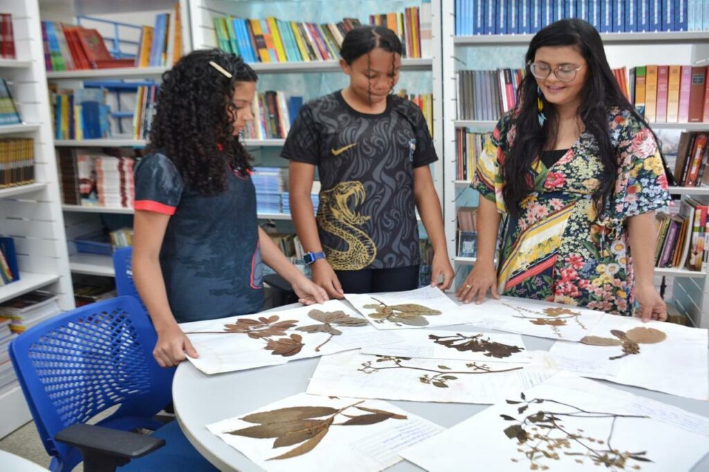 Professora maranhense conquista prêmio MapBiomas com projeto inovador na área