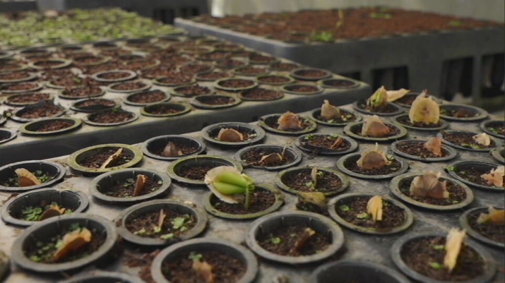 Projeto de gestão hídrica em Minas Gerais já é exemplo