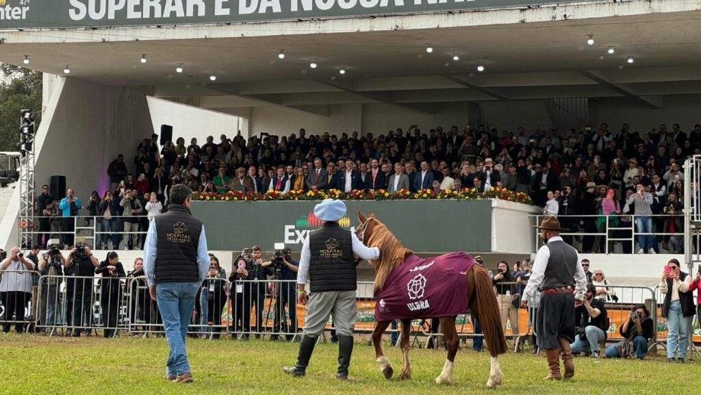 Resgatado durante enchente no RS, cavalo Caramelo vira atração em