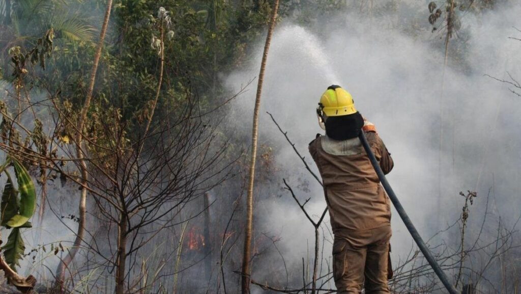 Seca no Amazonas: Mais de 287 mil pessoas atingidas, diz