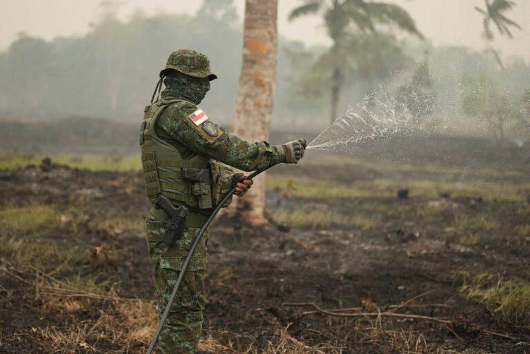 Amazonas tem pior agosto para queimadas desde 1998