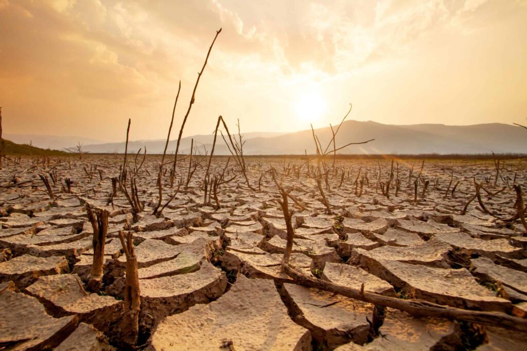 América do Sul está ficando mais quente, seca e inflamável,