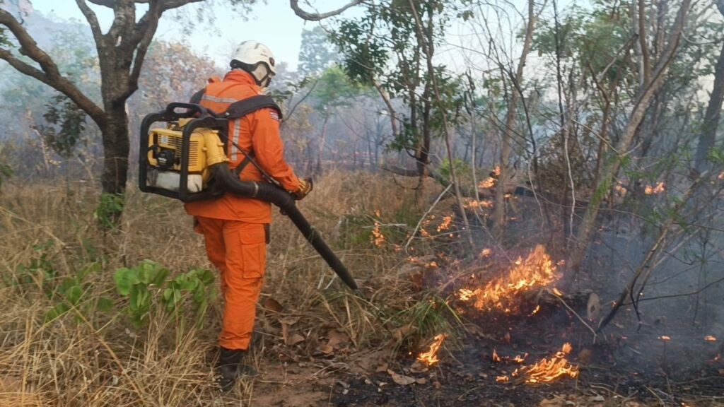 Bombeiros registram mais de 9 mil focos de incêndio e