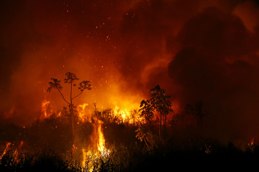 Brasil envia 62 bombeiros para combater incêndios florestais na Bolívia