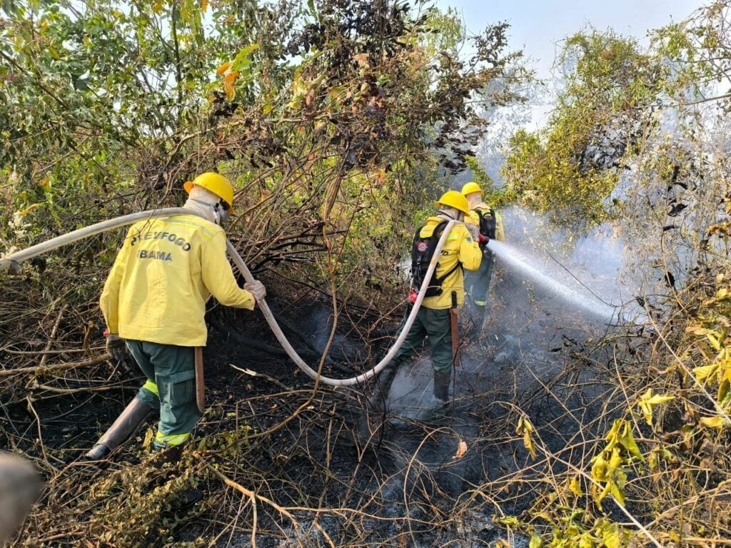 Brasil envia bombeiros para combater incêndios florestais na fronteira com