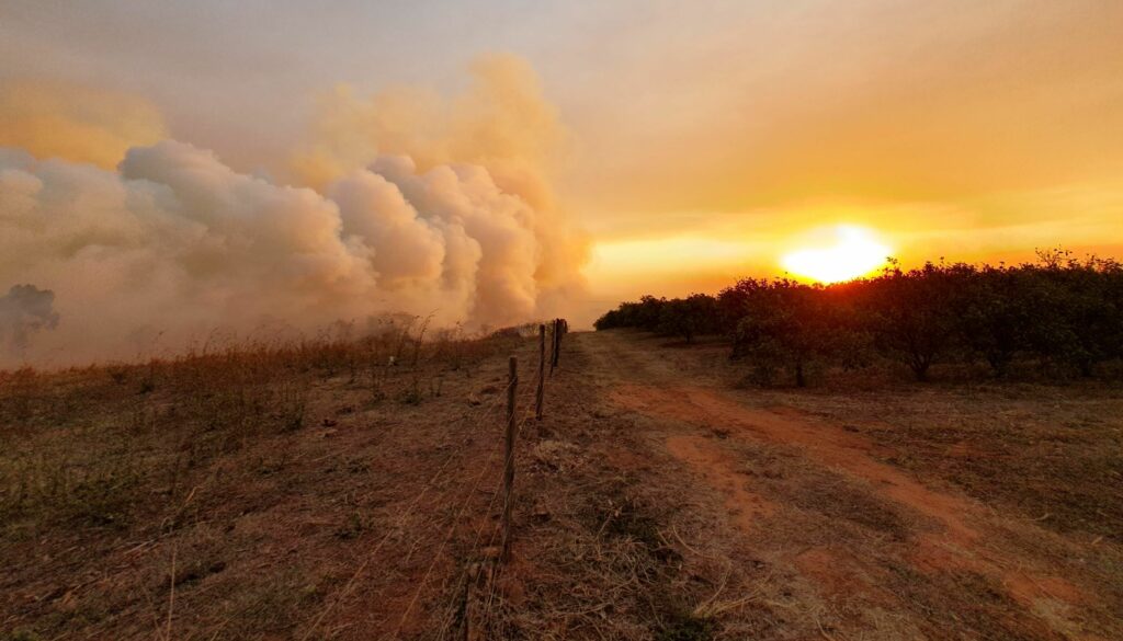 Calor se intensifica e pelo menos 15 cidades de São