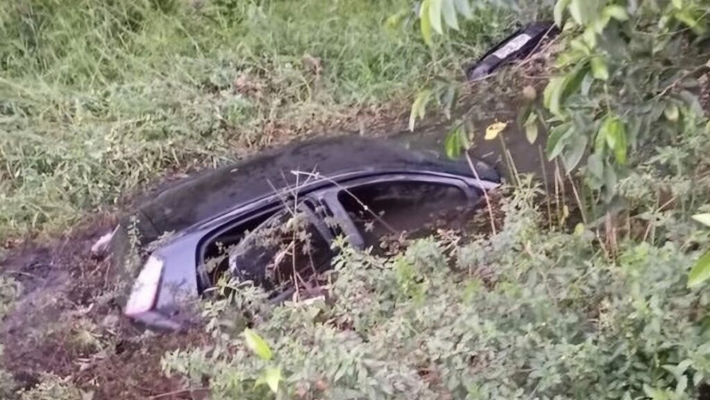 Carro atinge poste, invade área de mata e cai em