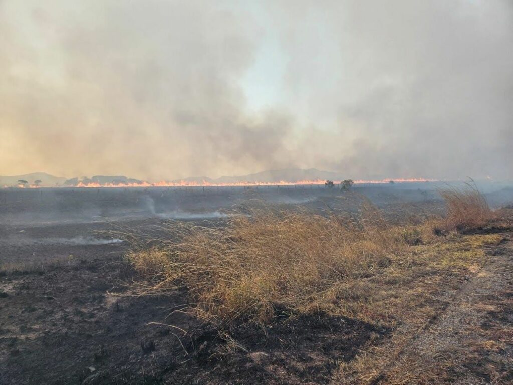 Chapada dos Veadeiros tem incêndios há quase uma semana