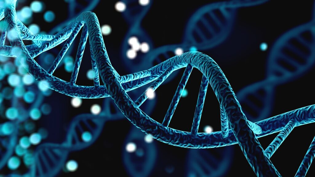 Cientistas mapeiam estruturas surpreendentes no DNA humano