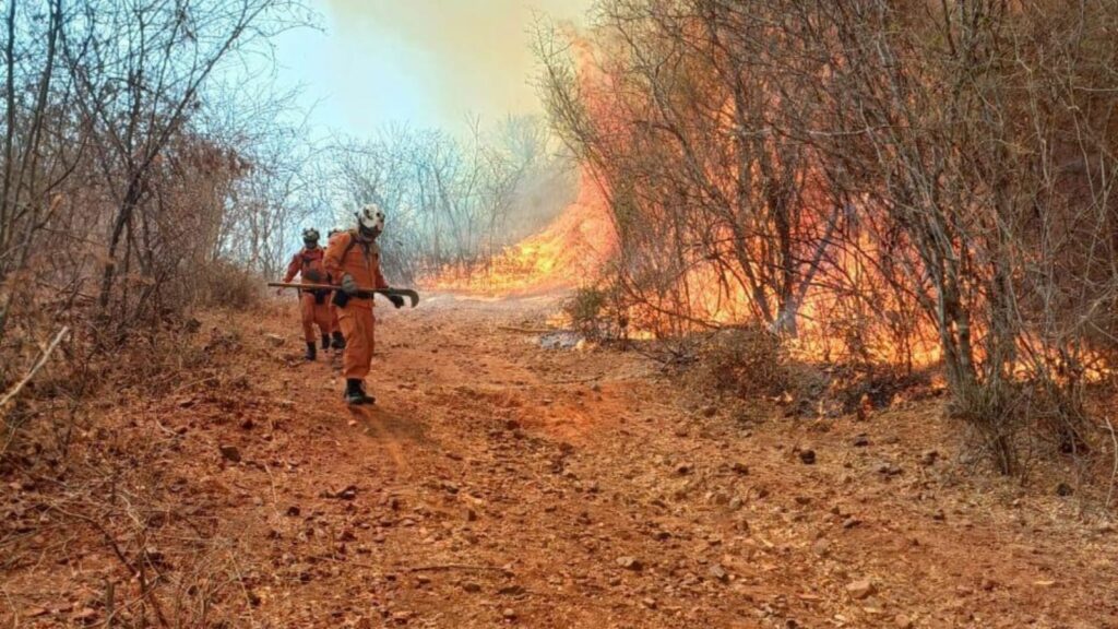 Com clima desfavorável, incêndio persiste há um mês no oeste