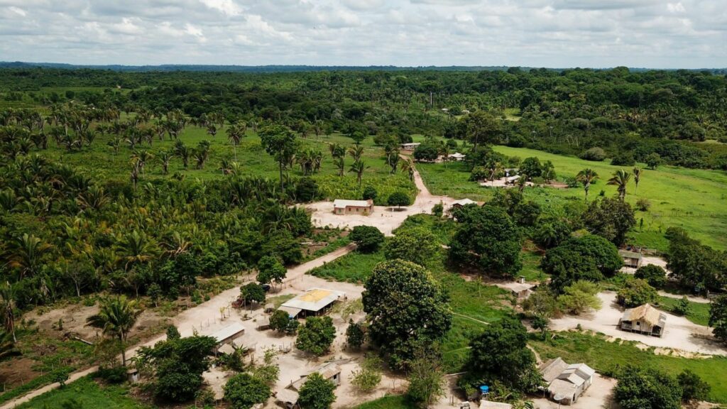 Créditos de carbono ajudam comunidades amazônicas no Pará