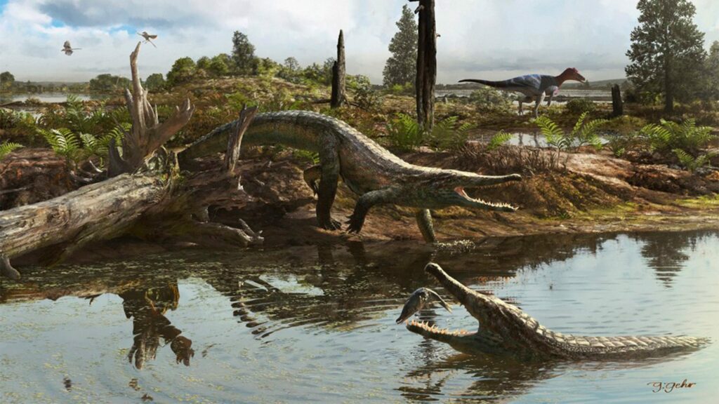 Crocodilo pré-histórico de quatro metros é descoberto no interior de