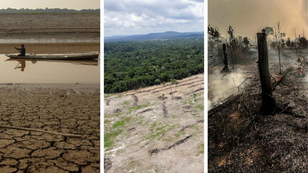 Dia da Amazônia tem região sofrendo com seca e queimadas