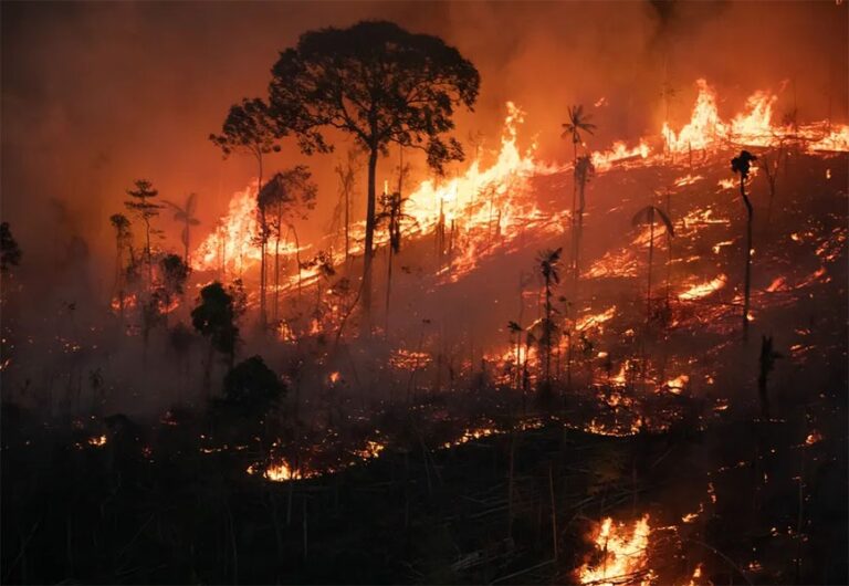 Fogo na Amazônia: o avanço do agronegócio e a destruição