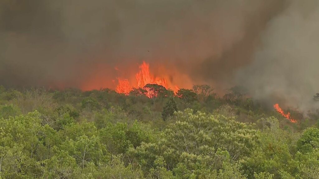 Fogo no Parque Nacional está contido e fumaça deve diminuir,