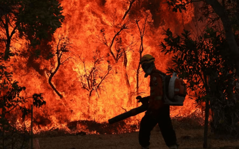 Governo cria multas elevadas para quem causar incêndios ambientais e