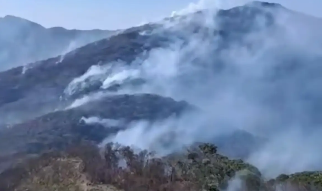 Governo estadual investiga mais de 20 pessoas por incêndios florestais