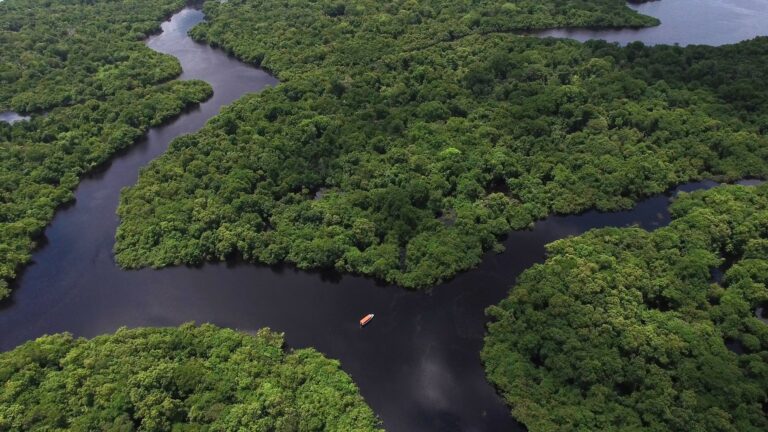 Governos e corporações fecham acordo bilionário para créditos de carbono