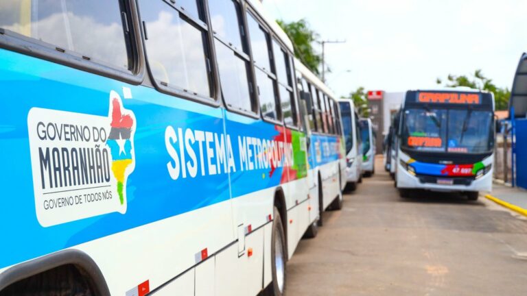 Grande Ilha recebe 75 ônibus para a frota do sistema